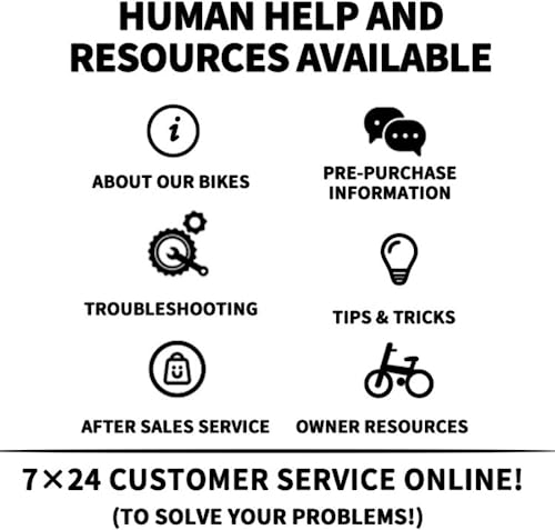 NAKTO 22" Electric Bike 250W Electric Bicycle Sporting City Ebike for Female