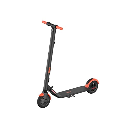Segway Ninebot ES1L Electric Kick Scooter - 250W Motor, 12.4 Mile Range & 12.4 MPH