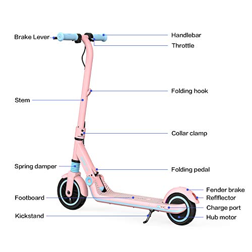 Segway Ninebot eKickScooter ZING E8 Kids Electric Kick Scooter for Boys and Girls