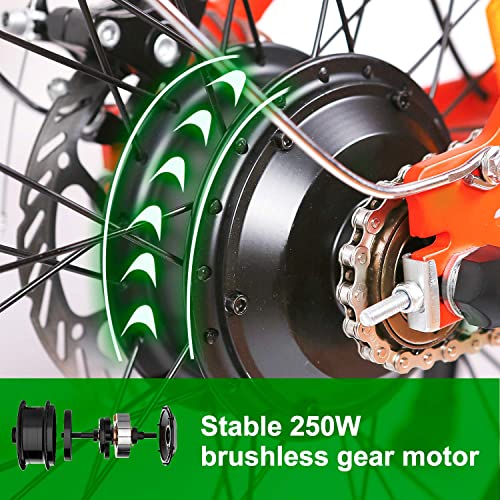 Nakto 20 inch City Electric Bicycle and Assisted Bicycle for Woman